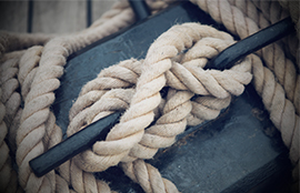 STATUT I DOKUMENTY PZŻ